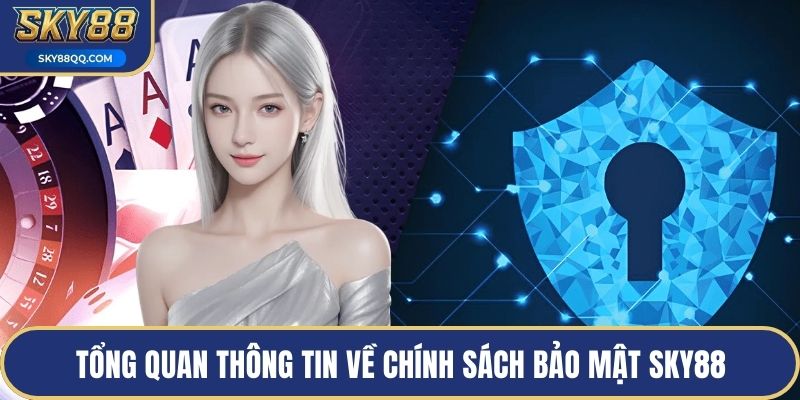 Tổng quan thông tin về chính sách bảo mật SKY88